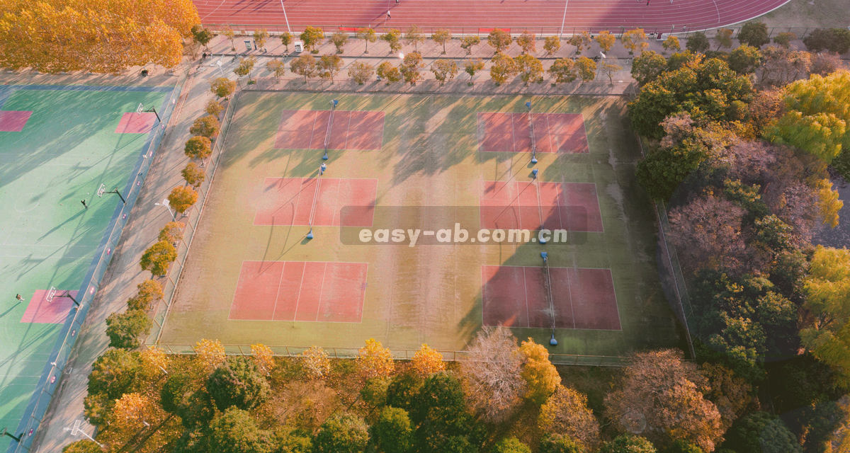 时间轴节点、记录标签和30天数字组成的抽象示意图